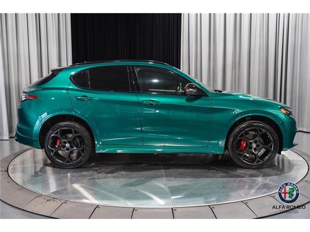 2025 Alfa Romeo Stelvio Tributo (Stk: AR2526) in Edmonton - Image 4 of 29 2025 Alfa Romeo Stelvio Tributo (Stk: AR2526) in Edmonton - Image 4 of 29