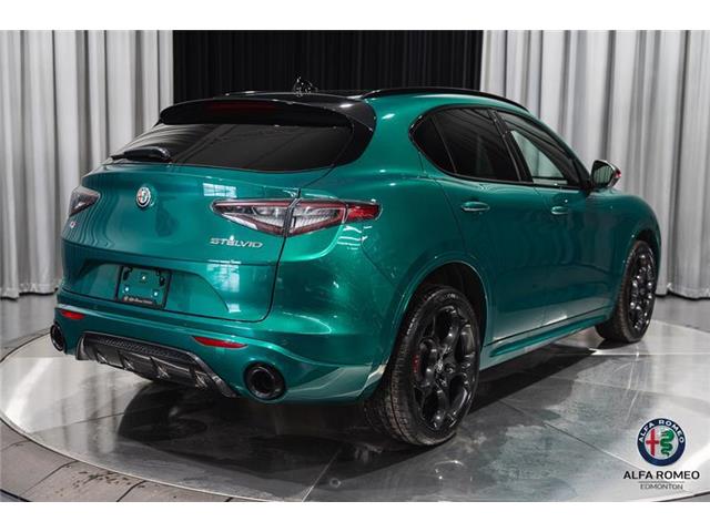 2025 Alfa Romeo Stelvio Tributo (Stk: AR2526) in Edmonton - Image 5 of 29 2025 Alfa Romeo Stelvio Tributo (Stk: AR2526) in Edmonton - Image 5 of 29