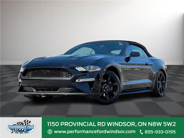 2019 Ford Mustang  1FATP8UH9K5188892 PR88892 in Windsor