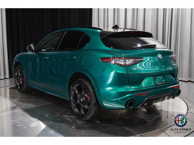 2025 Alfa Romeo Stelvio Tributo (Stk: AR2539) in Edmonton - Image 7 of 29
