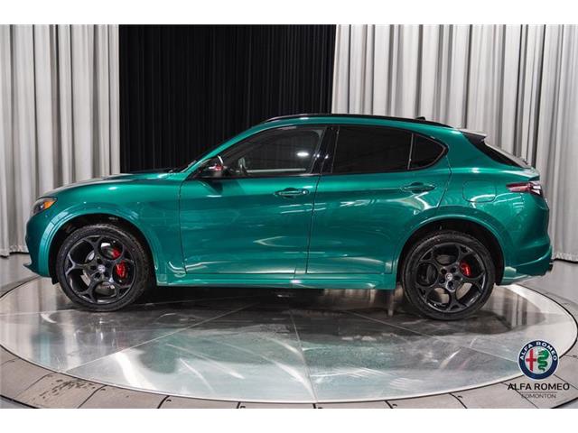 2025 Alfa Romeo Stelvio Tributo (Stk: AR2539) in Edmonton - Image 8 of 29