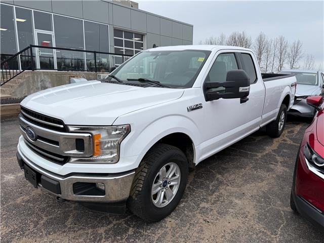 2019 Ford F-150 XLT (Stk: 24363) in Pembroke - Image 1 of 1