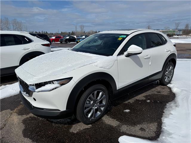 2025 Mazda CX-30 GS (Stk: 225-99) in Pembroke - Image 1 of 1