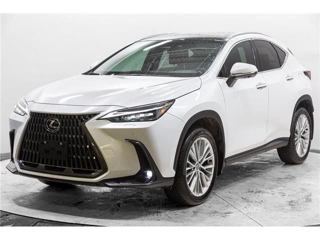 2025 Lexus NX 350 Base (Stk: 081999) in Brampton - Image 1 of 24