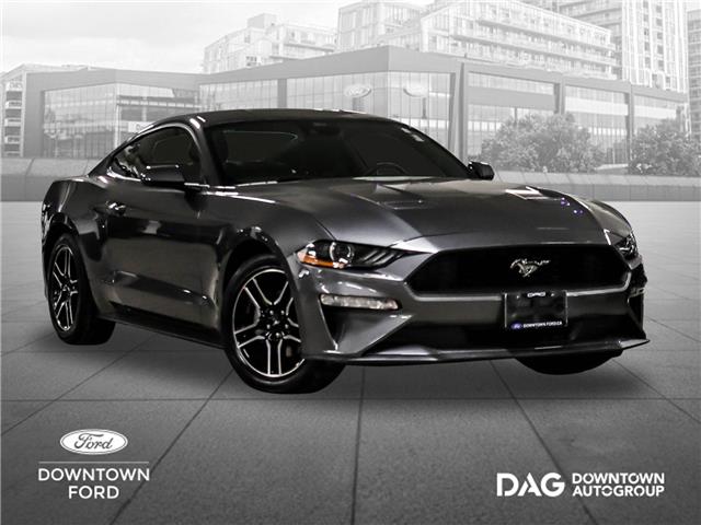 2023 Ford Mustang EcoBoost (Stk: 250384A) in Toronto - Image 1 of 21