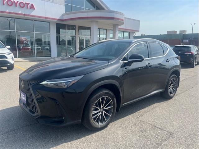 2024 Lexus NX 250  Black with 40,892km at $49,799