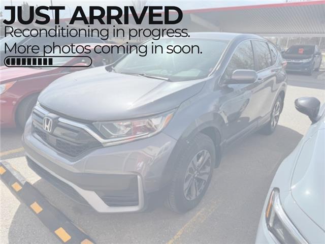 2019 Honda CR-V LX (Stk: U23542A1) in Okotoks - Image 1 of 1