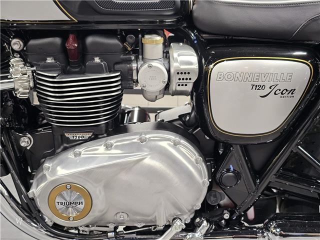 2025 Triumph Bonneville T120 ICON EDITION (Stk: 25TS-041) in Grande Prairie - Image 12 of 12