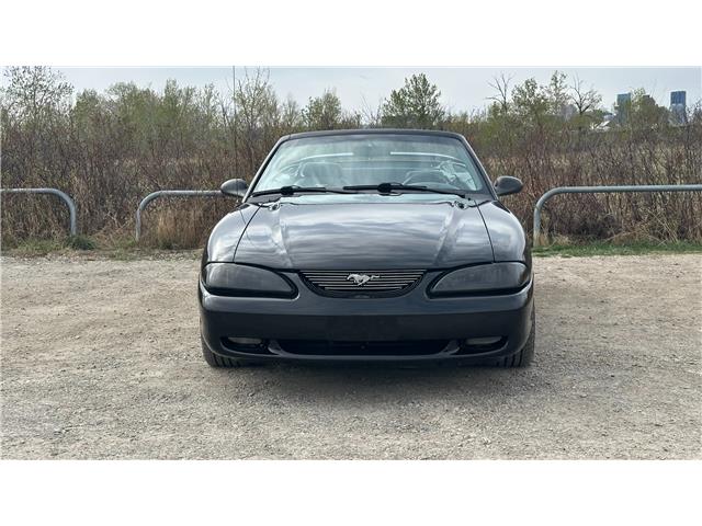 1997 Ford Mustang GT (Stk: #151434) in Calgary - Image 4 of 27