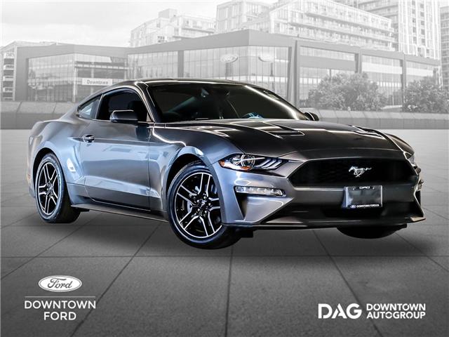 2023 Ford Mustang EcoBoost (Stk: 250384A) in Toronto - Image 1 of 21
