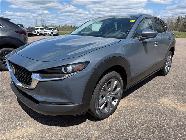 2025 Mazda CX-30 GS (Stk: 225-115) in Pembroke - Image 1 of 1