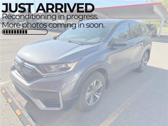 2020 Honda CR-V LX (Stk: U23474A) in Okotoks - Image 1 of 1