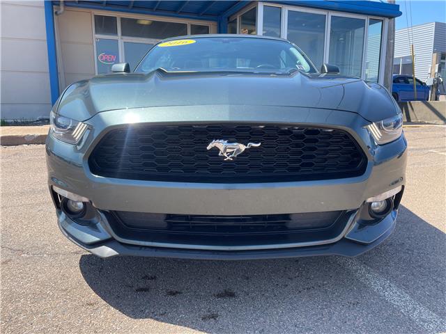 2015 Ford Mustang EcoBoost Premium in Charlottetown - Image 4 of 18
