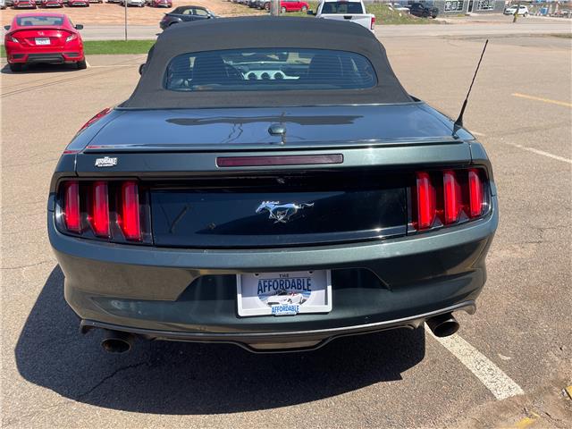 2015 Ford Mustang EcoBoost Premium in Charlottetown - Image 8 of 18