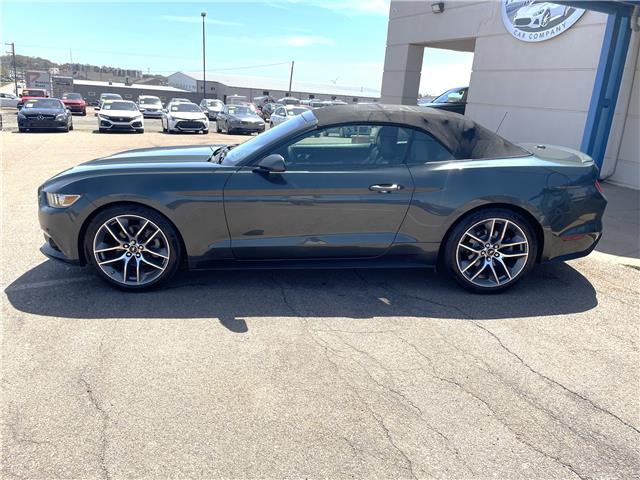 2015 Ford Mustang EcoBoost Premium in Charlottetown - Image 2 of 18