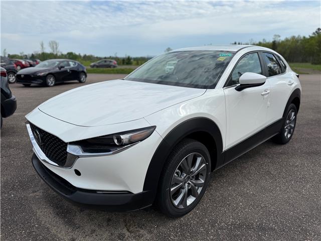 2025 Mazda CX-30 GS (Stk: 225-99) in Pembroke - Image 1 of 1