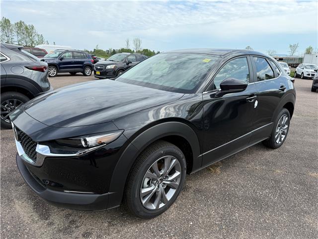 2025 Mazda CX-30 GS (Stk: 225-114) in Pembroke - Image 1 of 1