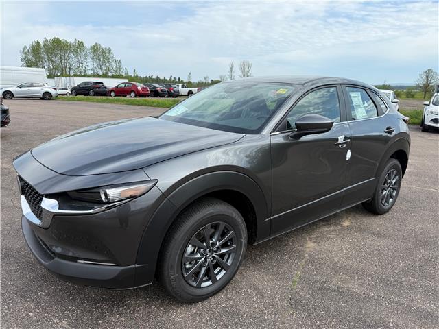 2025 Mazda CX-30 GX (Stk: 225-117) in Pembroke - Image 1 of 1