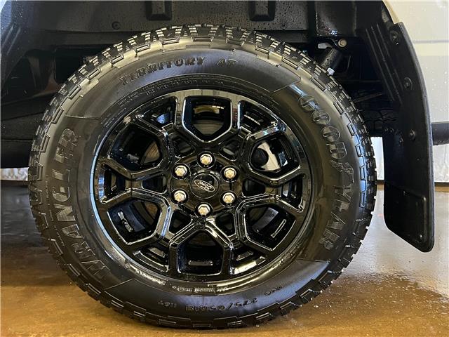 2025 Ford F-150 XLT (Stk: 25LT83) in St.Paul - Image 10 of 10