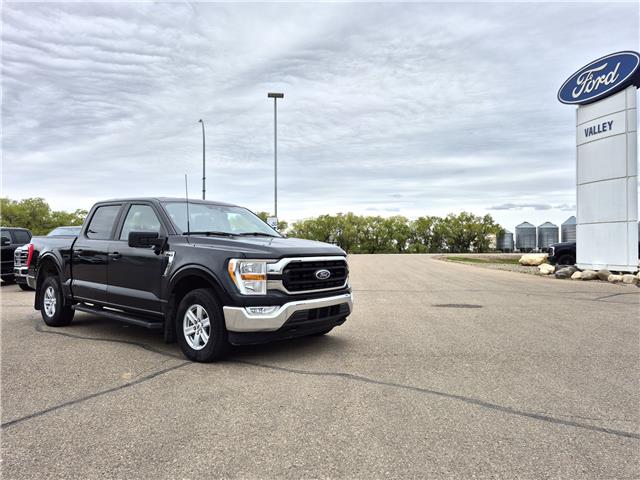 2021 Ford F-150 XLT (Stk: U96654) in Hague - Image 2 of 14 2021 Ford F-150 XLT (Stk: U96654) in Hague - Image 2 of 14