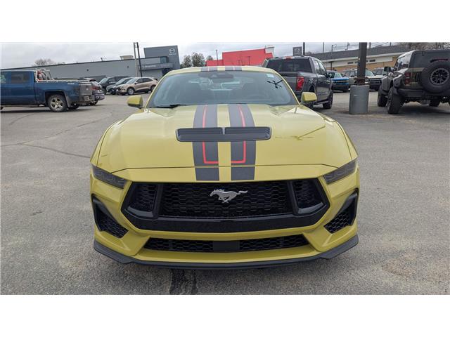 2025 Ford Mustang GT Premium (Stk: MU504) in Miramichi - Image 9 of 12