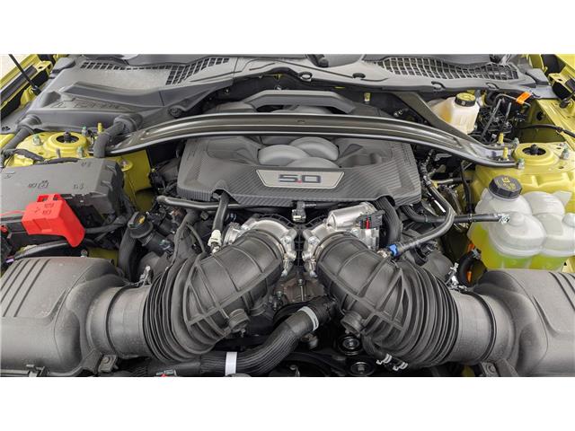 2025 Ford Mustang GT Premium (Stk: MU504) in Miramichi - Image 12 of 12