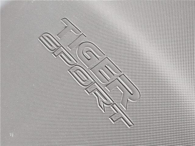 2025 Triumph TIGER SPORT 800 (Stk: 25TS-044) in Grande Prairie - Image 14 of 16