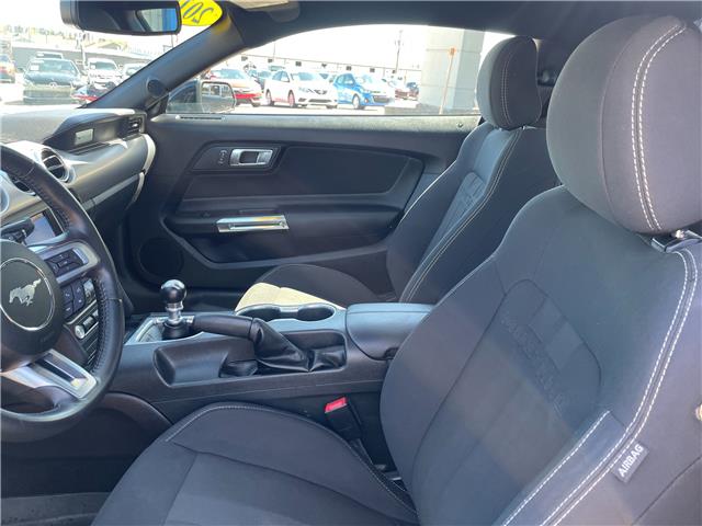 2019 Ford Mustang GT in Charlottetown - Image 10 of 17 2019 Ford Mustang GT in Charlottetown - Image 10 of 17