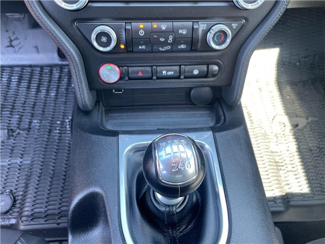 2019 Ford Mustang GT in Charlottetown - Image 13 of 17 2019 Ford Mustang GT in Charlottetown - Image 13 of 17