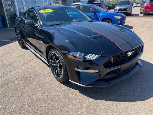 2019 Ford Mustang GT in Charlottetown - Image 5 of 17 2019 Ford Mustang GT in Charlottetown - Image 5 of 17
