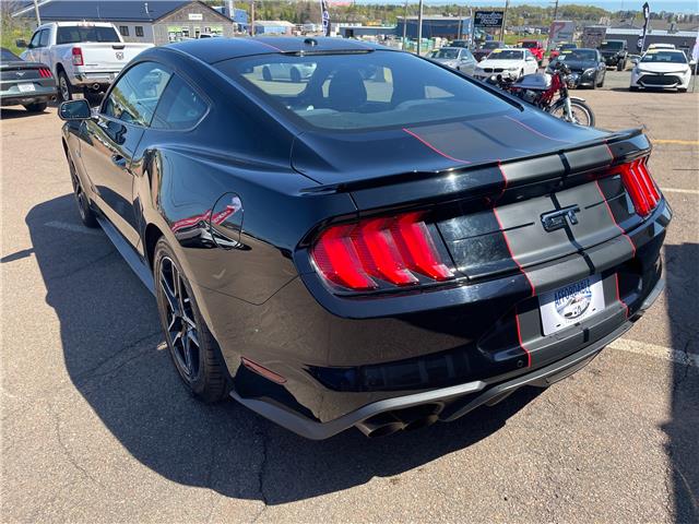 2019 Ford Mustang GT in Charlottetown - Image 9 of 17 2019 Ford Mustang GT in Charlottetown - Image 9 of 17
