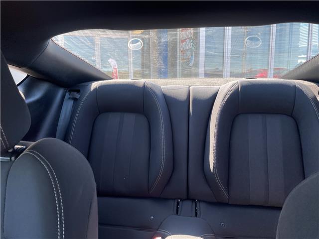 2019 Ford Mustang GT in Charlottetown - Image 11 of 17 2019 Ford Mustang GT in Charlottetown - Image 11 of 17