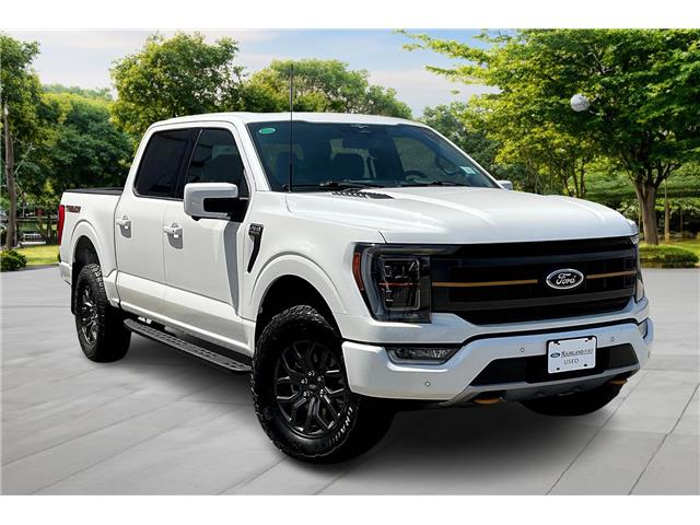 2023 Ford F-150 Tremor (Stk: 25F16783A) in Vancouver - Image 1 of 36