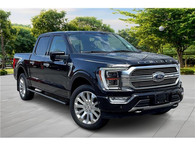 2022 Ford F-150 Limited (Stk: P4940) in Vancouver - Image 1 of 36