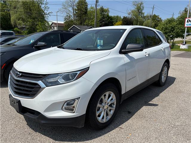2019 Chevrolet Equinox LS (Stk: TK158756) in Caledonia - Image 1 of 14