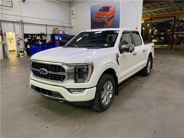 2023 Ford F-150 Platinum (Stk: 25175A) in Melfort - Image 1 of 10