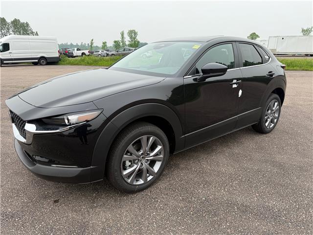 2025 Mazda CX-30 GS (Stk: 225-132) in Pembroke - Image 1 of 1