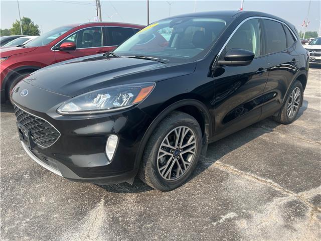 2022 Ford Escape SEL (Stk: 25396A) in Steinbach - Image 1 of 8