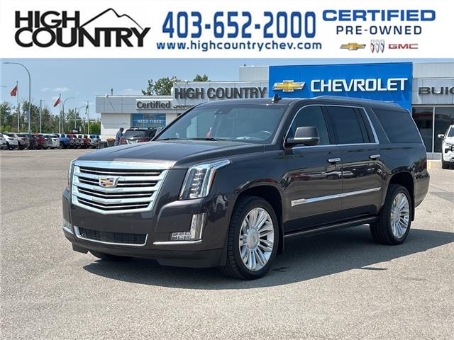2017 Cadillac Escalade ESV Platinum (Stk: CS247A) in High River - Image 1 of 21