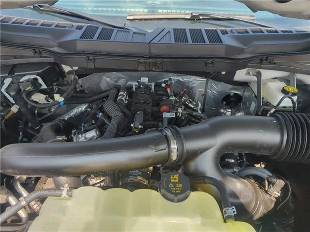 2025 Ford F-150 XLT (Stk: F1223) in Miramichi - Image 13 of 13