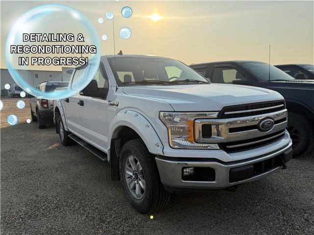 2019 Ford F-150 XLT (Stk: OP343B) in Drayton Valley - Image 1 of 12