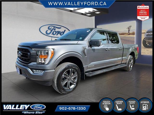 2023 Ford F-150  (Stk: 25169A) in Kentville - Image 1 of 23