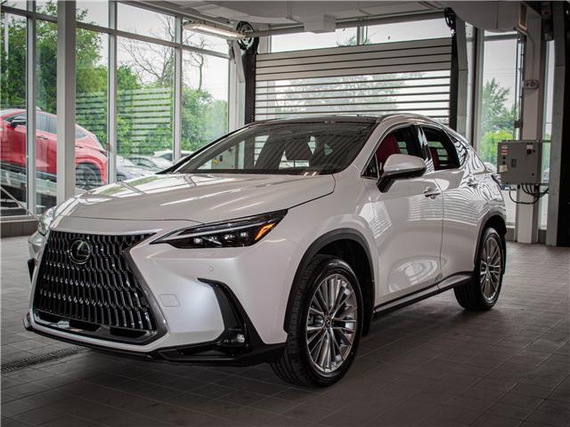 2025 Lexus NX 350 Base (Stk: 6789) in Kingston - Image 1 of 17