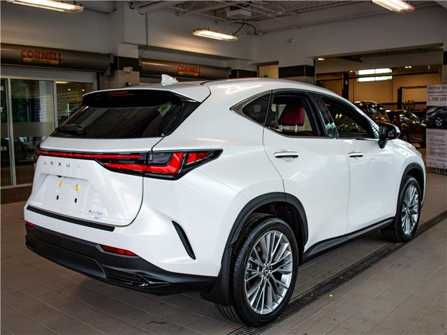 2025 Lexus NX 350 Base (Stk: 6789) in Kingston - Image 7 of 17