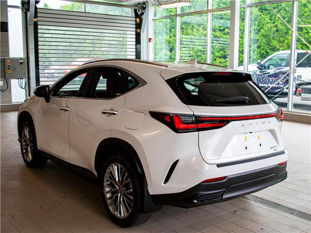 2025 Lexus NX 350 Base (Stk: 6789) in Kingston - Image 4 of 17