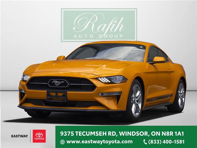 2019 Ford Mustang EcoBoost (Stk: TR5119) in Windsor - Image 1 of 24