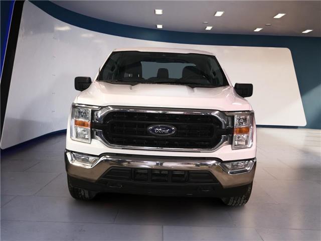 2022 Ford F-150  (Stk: 11954) in Golden - Image 2 of 17