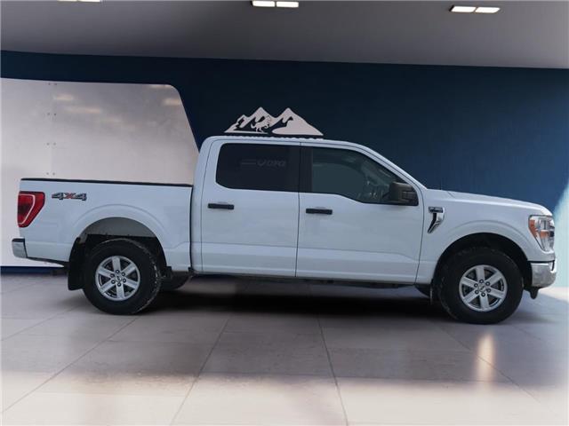 2022 Ford F-150  (Stk: 11954) in Golden - Image 4 of 17