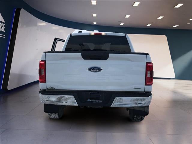 2022 Ford F-150  (Stk: 11954) in Golden - Image 6 of 17