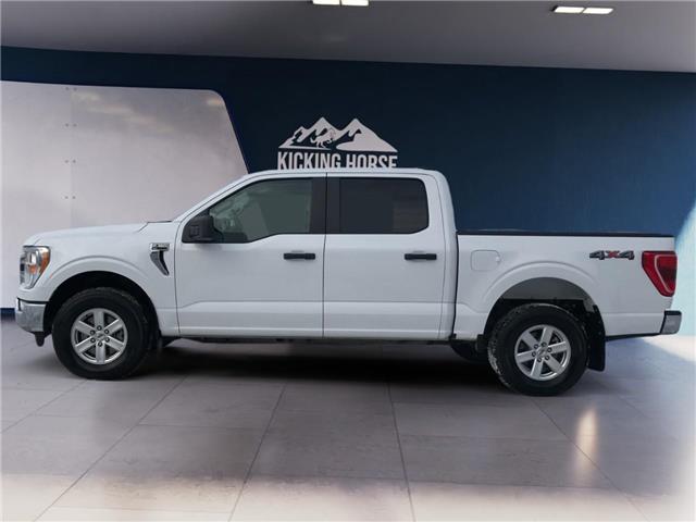 2022 Ford F-150  (Stk: 11954) in Golden - Image 8 of 17